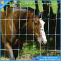 clôture pour bovins &amp; ovins galvanisée / galvanisé Fixed Knot Woven Wire Deer Fence